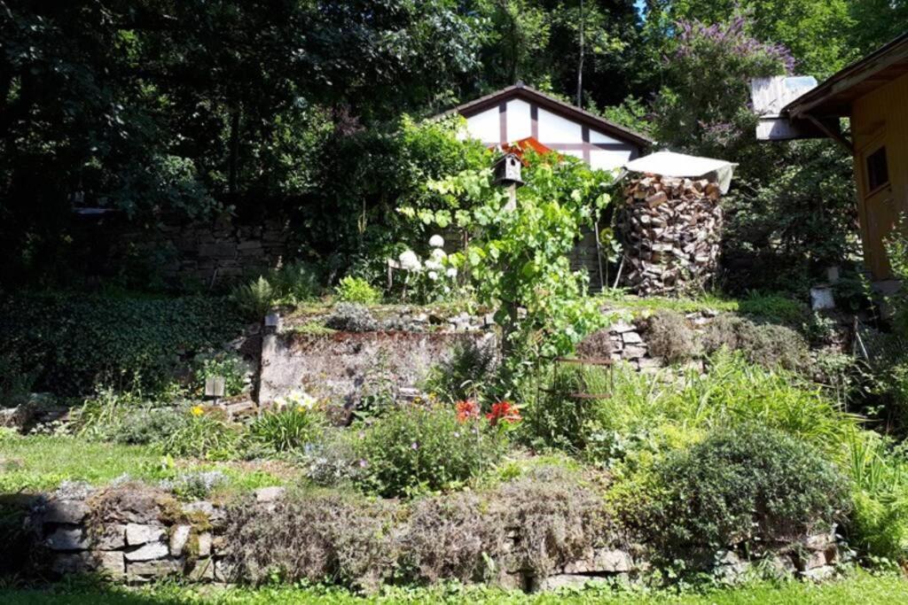 באד קארלסהפן Eine Gemuetliche Ferienwohnung Mit Garten מראה חיצוני תמונה