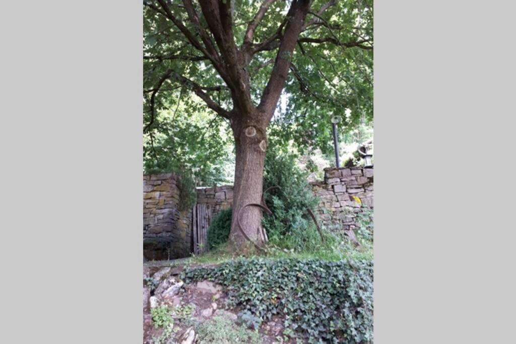 באד קארלסהפן Eine Gemuetliche Ferienwohnung Mit Garten מראה חיצוני תמונה